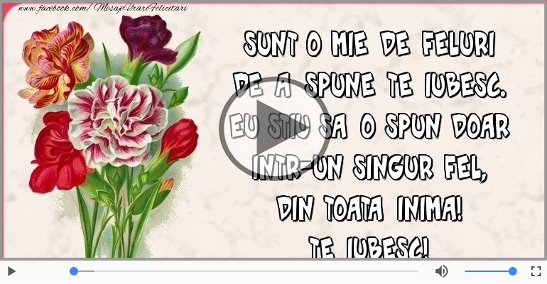 Sunt o mie de feluri  de a spune Te iubesc