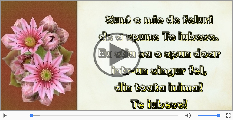 Sunt o mie de feluri  de a spune Te iubesc