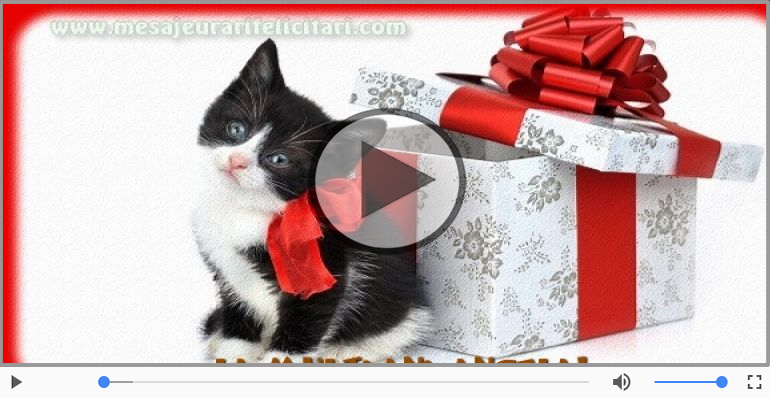 A mai trecut un an, La multi ani Angela!