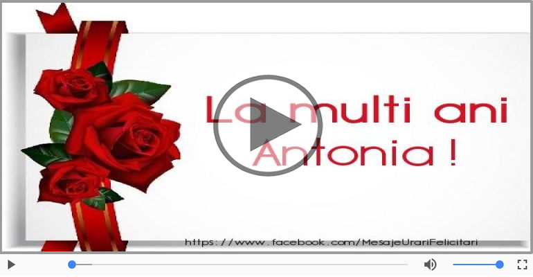 A mai trecut un an, La multi ani Antonia!
