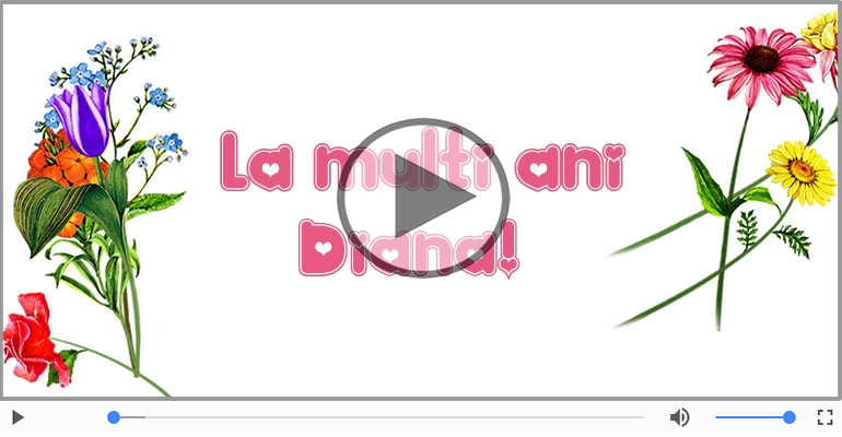A mai trecut un an, La multi ani Diana!