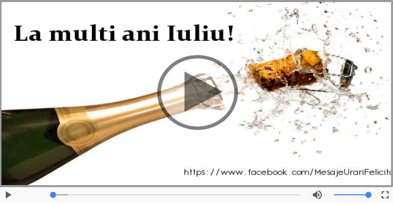 A mai trecut un an, La multi ani Iuliu!