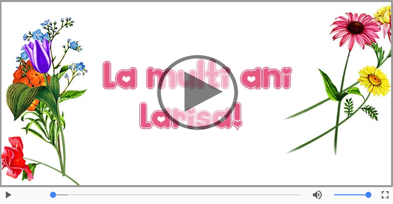 A mai trecut un an, La multi ani Larisa!