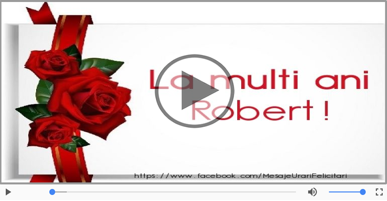 A mai trecut un an, La multi ani Robert!