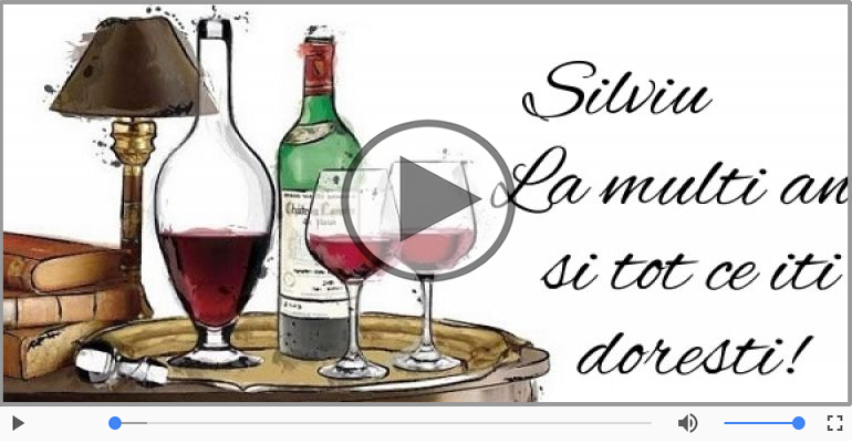 A mai trecut un an, La multi ani Silviu!