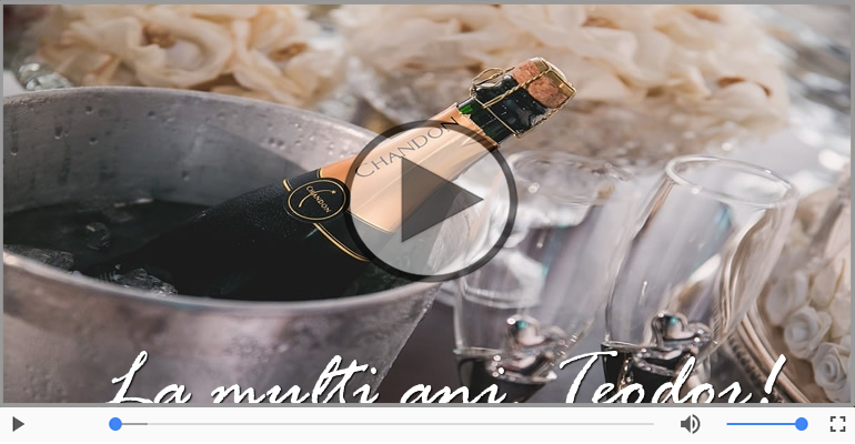 Felicitare muzicala de la multi ani pentru Teodor!