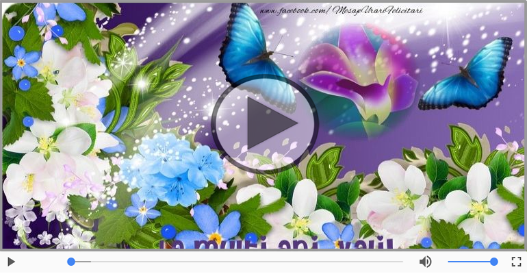 A mai trecut un an, La multi ani Vali!