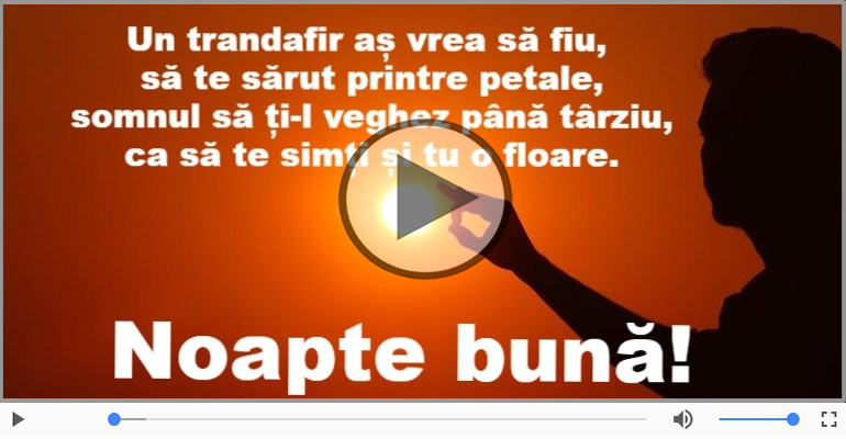 Noapte buna, prieteni!