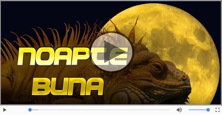 Te iubesc! Noapte buna!