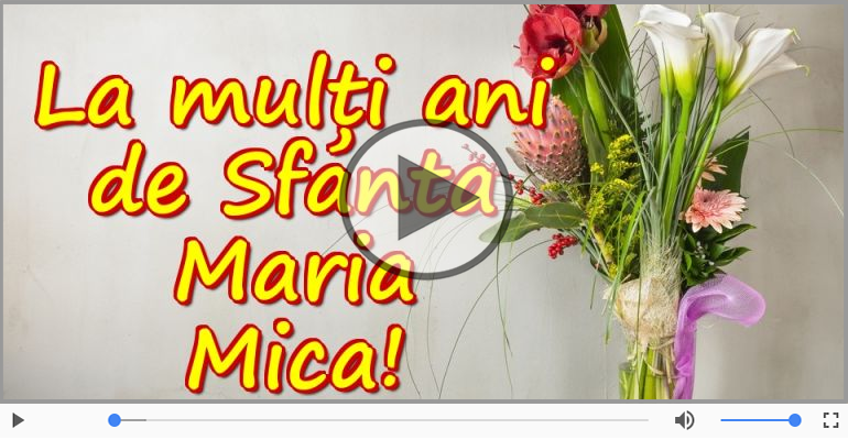 Felicitare muzicala de Sfanta Maria!