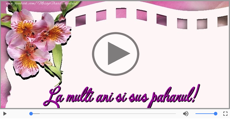 La multi ani si sus paharul!