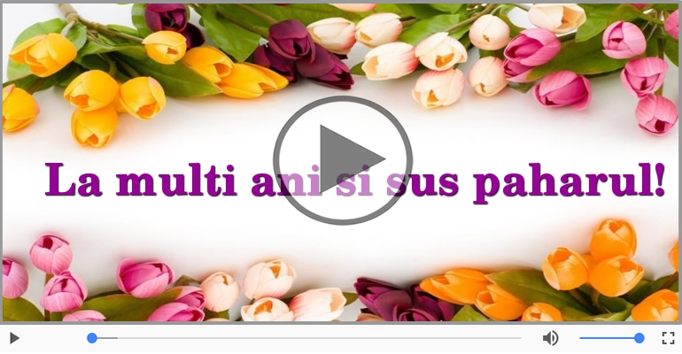 La multi ani si sus paharul!