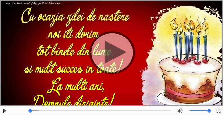 Tort - La multi ani, Domnule diriginte!