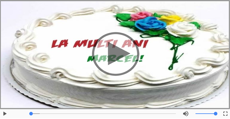 Happy Birthday Marcel!