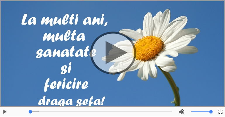 Happy Birthday  Sefa!