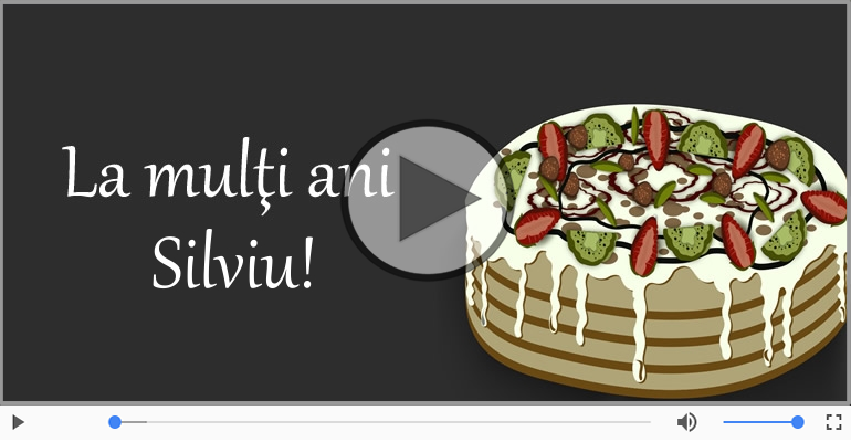 Happy Birthday Silviu!