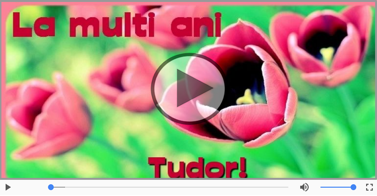 La multi ani, Tudor!