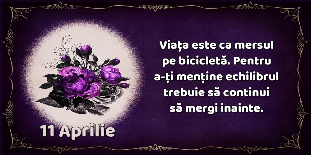 11.Aprilie Viața este ca mersul pe bicicletă. Pentru a-ți menține echilibrul trebuie să continui să mergi inainte.