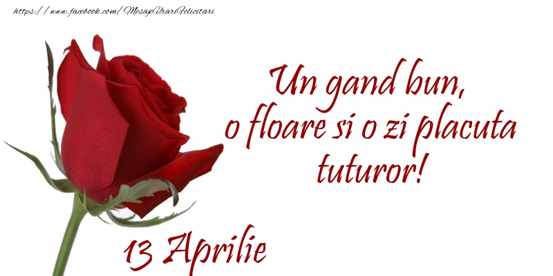 Felicitari de 13 Aprilie - Un gand bun, o floare si o zi placuta tuturor!