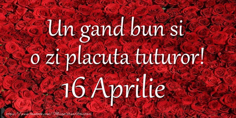 Felicitari de 16 Aprilie - Un gand bun si  o zi placuta tuturor! Aprilie 16