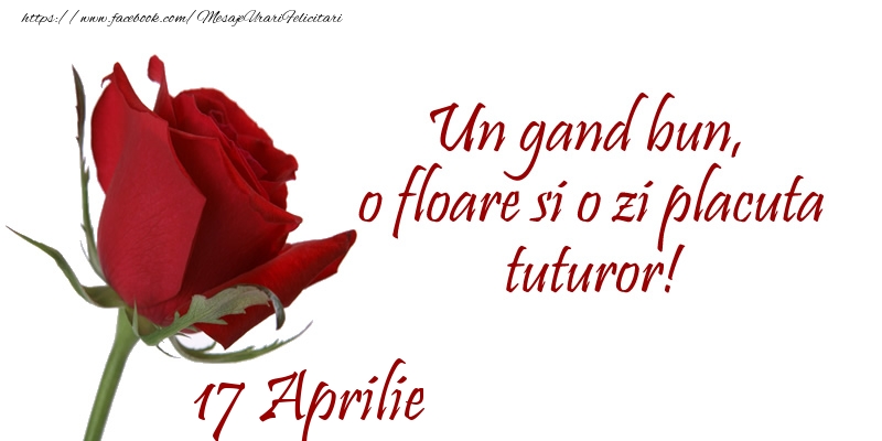 Felicitari de 17 Aprilie - Un gand bun, o floare si o zi placuta tuturor!