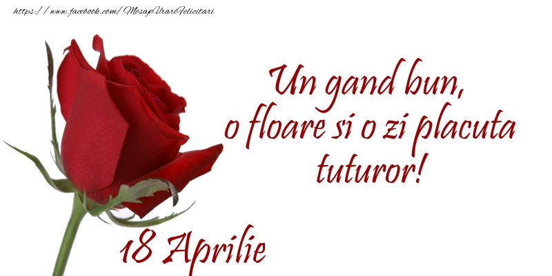 Felicitari de 18 Aprilie - Un gand bun, o floare si o zi placuta tuturor!