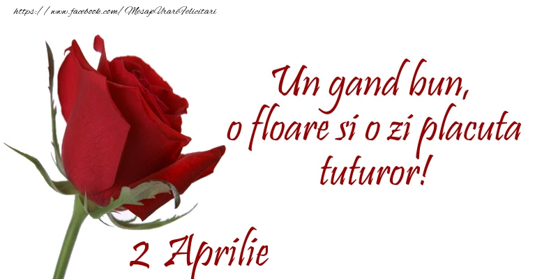 Felicitari de 2 Aprilie - Un gand bun, o floare si o zi placuta tuturor!