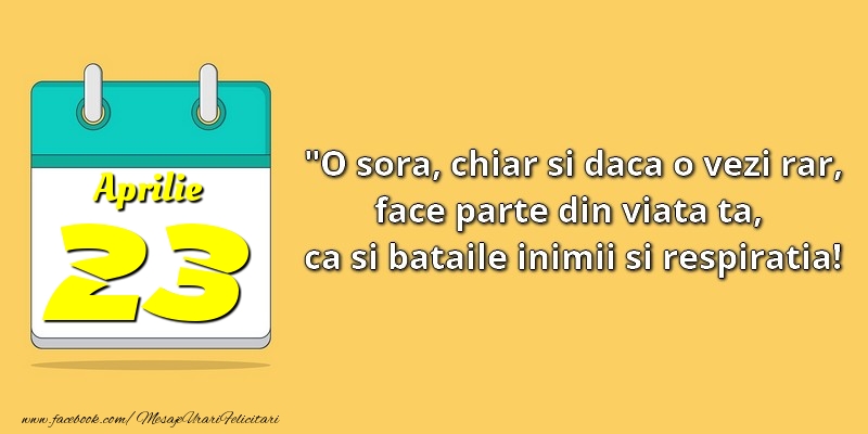 O soră, chiar şi dacă o vezi rar, face parte din viata ta, ca şi bătăile inimii şi respiraţia! 23Aprilie