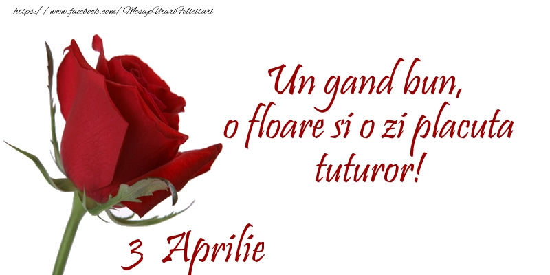 Felicitari de 3 Aprilie - Un gand bun, o floare si o zi placuta tuturor!