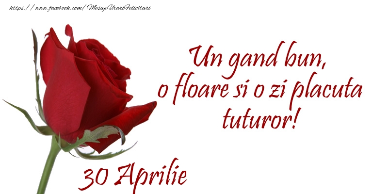 Felicitari de 30 Aprilie - Un gand bun, o floare si o zi placuta tuturor!
