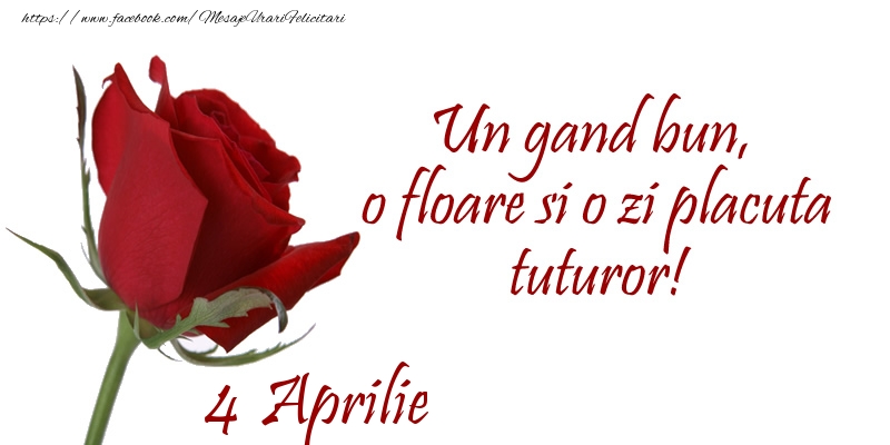 Felicitari de 4 Aprilie - Un gand bun, o floare si o zi placuta tuturor!