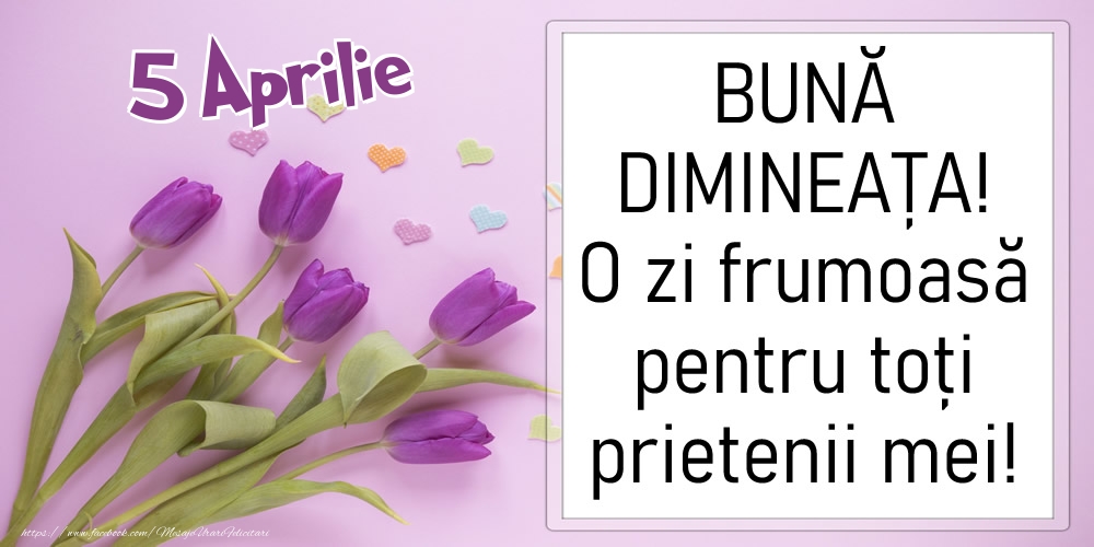 Felicitari de 5 Aprilie - 5 Aprilie - BUNĂ DIMINEAȚA! O zi frumoasă pentru toți prietenii mei!