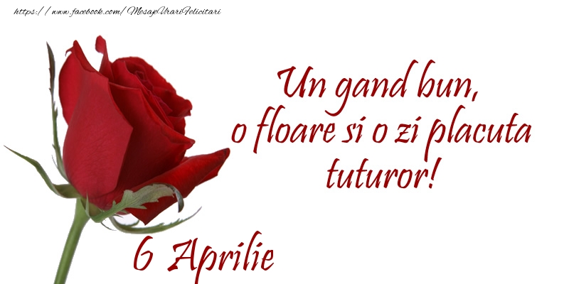 Felicitari de 6 Aprilie - Un gand bun, o floare si o zi placuta tuturor!