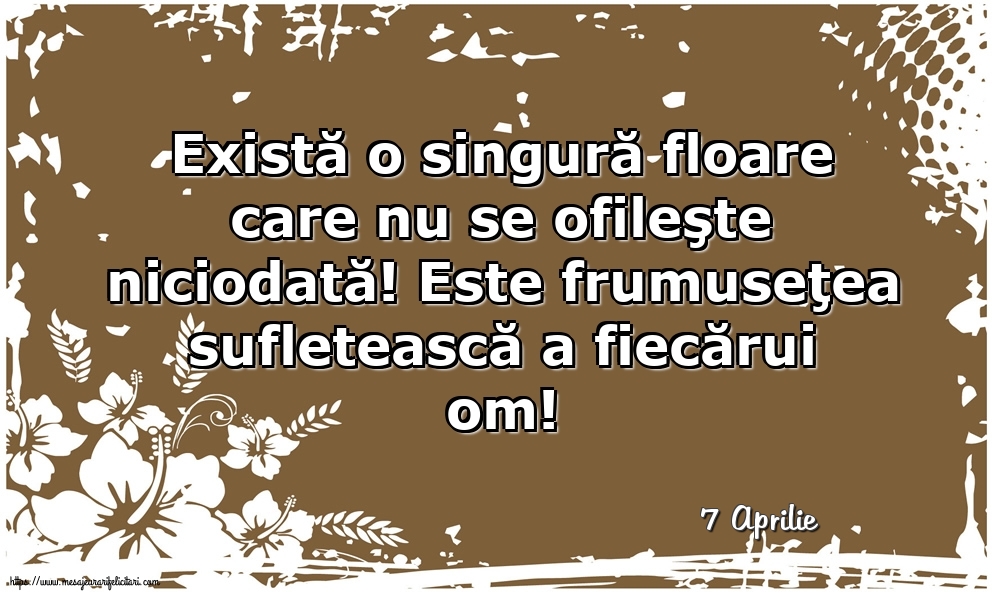 Felicitari de 7 Aprilie - 7 Aprilie - Există o singură floare care nu se ofileşte niciodată