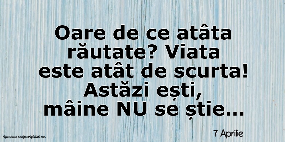 Felicitari de 7 Aprilie - 7 Aprilie - Oare de ce atâta răutate?