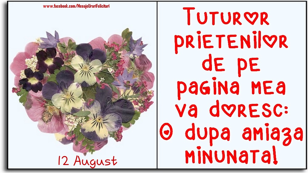 12 August -Tuturor prietenilor de pe pagina mea va doresc: O dupa amiaza minunata!