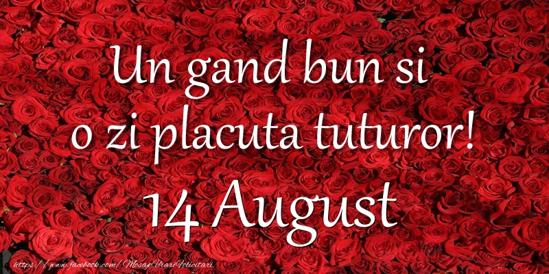 Felicitari de 14 August - Un gand bun si  o zi placuta tuturor! August 14