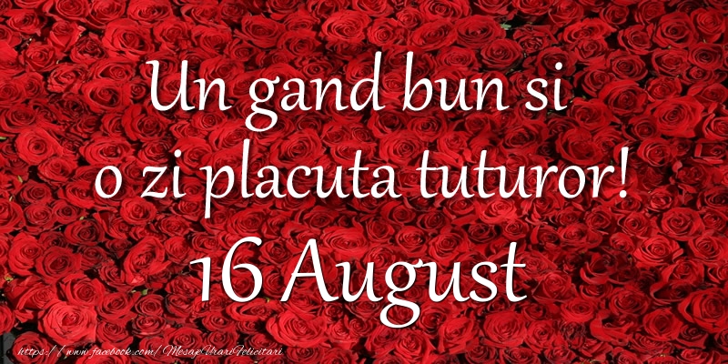 Felicitari de 16 August - Un gand bun si  o zi placuta tuturor! August 16