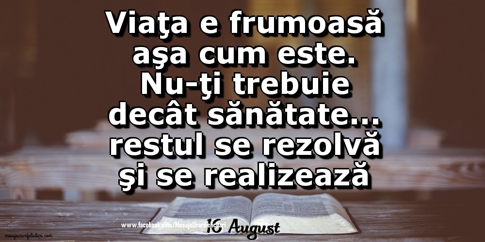 16 August - 	Viaţa e frumoasă aşa cum este. Nu-ţi trebuie decât sănătate... restul se rezolvă şi se realizează în timp!