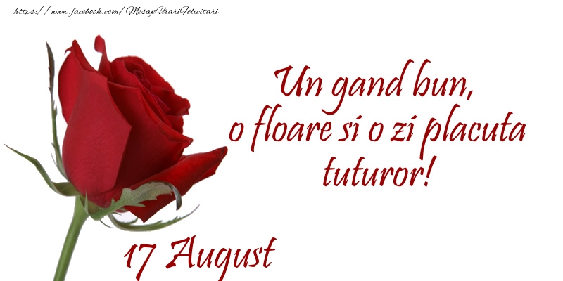 Felicitari de 17 August - Un gand bun, o floare si o zi placuta tuturor!