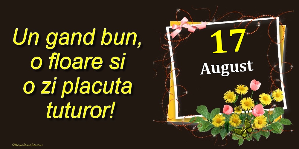 Felicitari de 17 August - August 17 Un gand bun, o floare si o zi placuta tuturor!