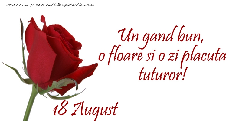 Felicitari de 18 August - Un gand bun, o floare si o zi placuta tuturor!