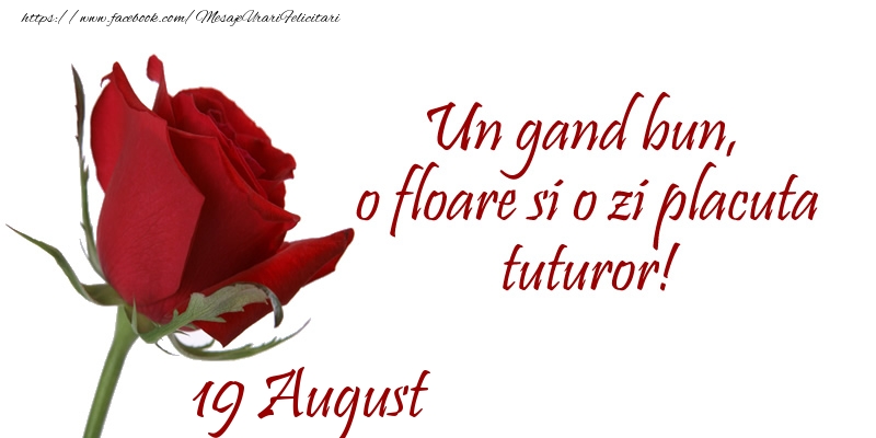 Felicitari de 19 August - Un gand bun, o floare si o zi placuta tuturor!