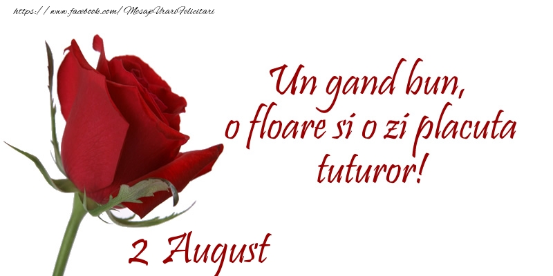 Felicitari de 2 August - Un gand bun, o floare si o zi placuta tuturor!
