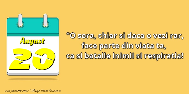 O soră, chiar şi dacă o vezi rar, face parte din viata ta, ca şi bătăile inimii şi respiraţia! 20August