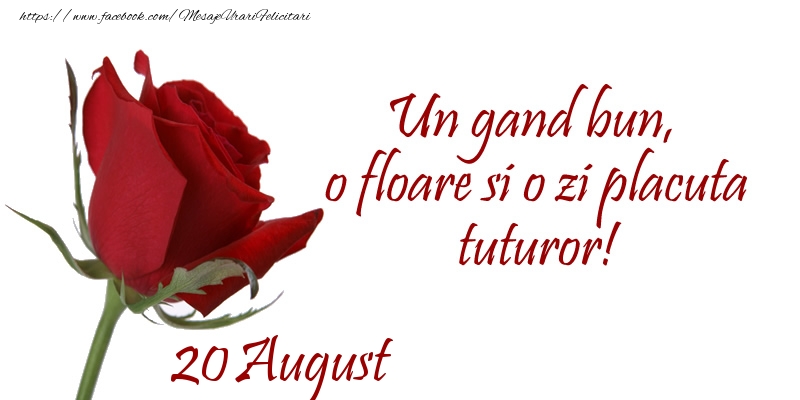 Felicitari de 20 August - Un gand bun, o floare si o zi placuta tuturor!