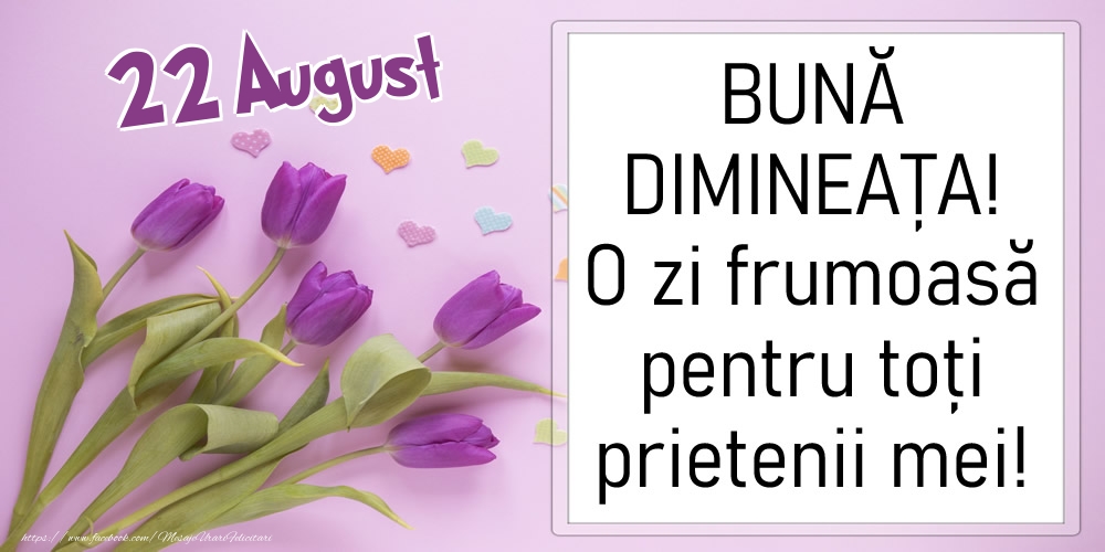 22 August - BUNĂ DIMINEAȚA! O zi frumoasă pentru toți prietenii mei!