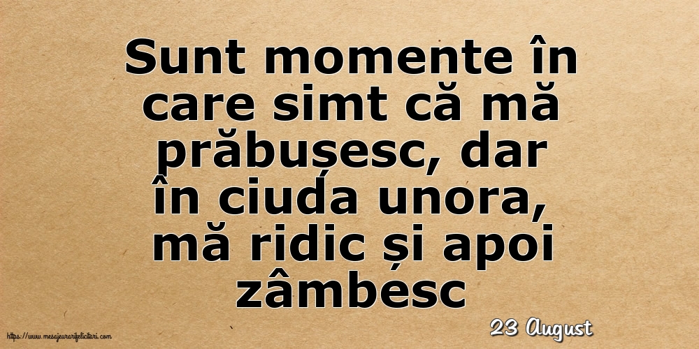 Felicitari de 23 August - 23 August - Sunt momente în care simt că mă prăbușesc
