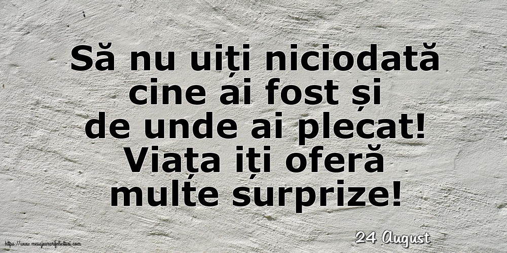 Felicitari de 24 August - 24 August - Viața iți oferă multe surprize!