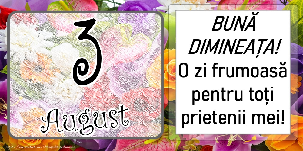 3 August - BUNĂ DIMINEAȚA! O zi frumoasă pentru toți prietenii mei!